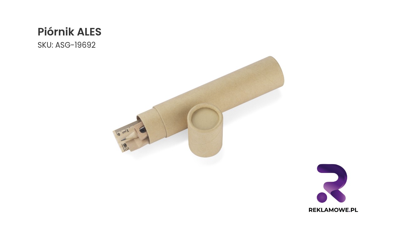 Piórnik ALES w kolorze czarnym